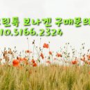 온열앤건강샵 이미지