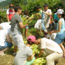 서해안 농장 이미지