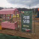 마루농산물 | 아라마루직거래장터 오픈 신선한 농산물 직접 사보니 진짜 다릅니다