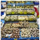 장미수산 이미지