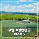 무안생태갯벌사업소 | 무안 가볼만한곳 베스트 5 - 여행지 추천 리스트