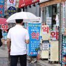 란약국 머니투데이
