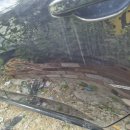 수성자동차공업사 이미지