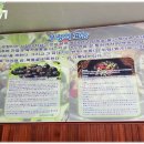 양주골 초계탕 이미지