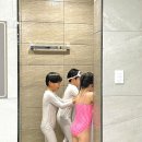 더레지아A 이미지