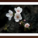 최성기농장 이미지