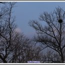 광교호수로-1 이미지