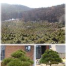 여송농장 이미지