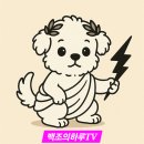 위드왈왈 이미지