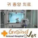 그랜드벳동물병원 네이버블로그