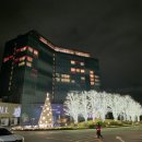 바품힐 | [워커힐호텔]아차산 품에 안긴 밤, 프레스티지 오크 딜럭스 더블 감성 1박 후기