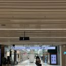 신나게푸드 위탁급식소 | 김포공항 펫파크 강아지놀이터 위치 및 이용후기
