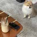 가현관광 이미지