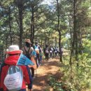 상모리-11 이미지