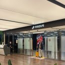 뒷동산낙지 | 한라산 영실코스 후기 ㅣ 오백장군까마귀에서 윗세오름 남벽까지 해미안으로 몸 풀어줘도 근육통 4일감