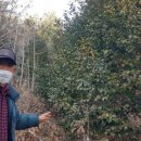 해남군산림조합장 이미지