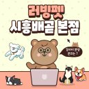 러빙펫 강아지분양 배곧본점 | 시흥 배곧 강아지 분양샵 러빙펫 본점 다녀 왔습니다!