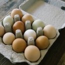 “계란을 먹는 것은 고급 단백질을 충분히 섭취하는 좋은 방법입니다.” 이미지