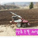 정경농장 이미지