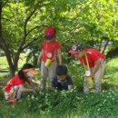 문정어린이집 이미지