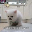쿤짱 이미지
