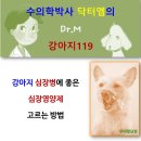 [닥터엠] 강아지 심장병 예방 관리- 영양제 이미지