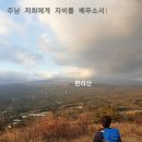 벌교태인 이미지