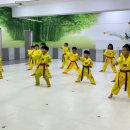 우렁찬 태권도 이미지