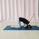 실버요가(초급) 이미지