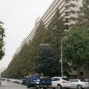 강남골드부동산중개 이미지