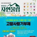 괴산군 드림패스 아카데미 | 괴산군, 진로·진학 지원 ‘드림패스 아카데미’ 운영