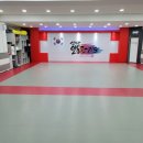 신성관 일동 합기도 이미지