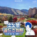 네발가락당구장 | 홍천 비발디파크 소노펫 골드펫룸 후기, 처음 간다면 필독!