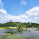 봉선농장 이미지