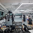 코리안탑팀 강서 이미지