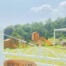 나무그림펜션 | 아이들이 뛰놀기 딱 좋은 숙소, 강화도 비행기나무 펜션 후기 🌿