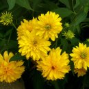 간데메공원 이미지