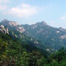 녹번-019 Daum카페