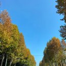 [여행하는 밍구리::고양] 더타운몰 킨텍스점, 킨텍스바이케이트리호텔,일산호수공원, 밤가시 초가 (주차...
