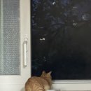 베베그루밍 이미지