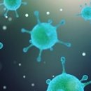 우리집에서 세균이 가장 많이 사는 10곳 이미지