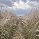 금천장어구이 이미지