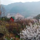 지리산털보농원 이미지