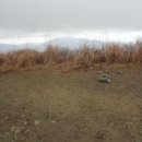 간월자연휴양림 이미지