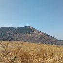 오름 Daum카페