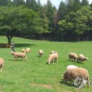 산양축산 이미지