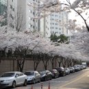 평리2동행정복지센터 이미지