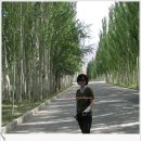하남-신장-신장10호 | [Silk⌒Road] 그 낯선 땅 (34) 쿠차-키질천불동