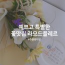 라모드플레르