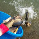 월곡 낚시터 이미지